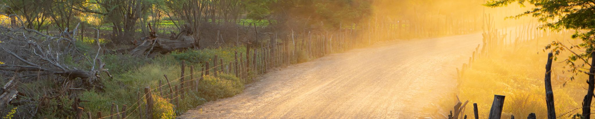 Cover for Betty Ann Dugdale's Obituary