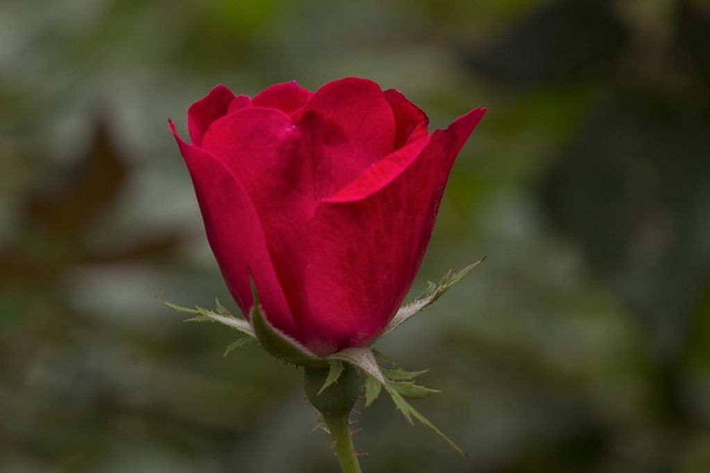 Juanita Marie Smith Profile Photo