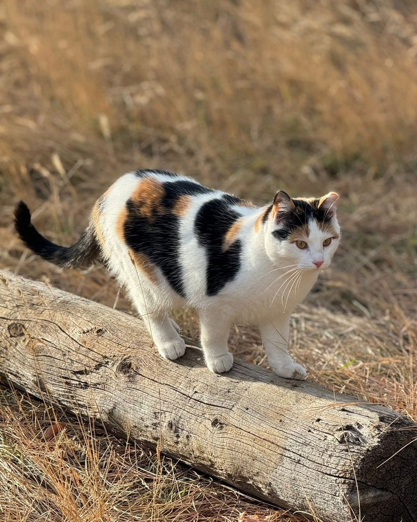 Mystic Profile Photo