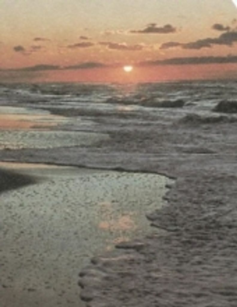 Suzanne A.  Bardwell