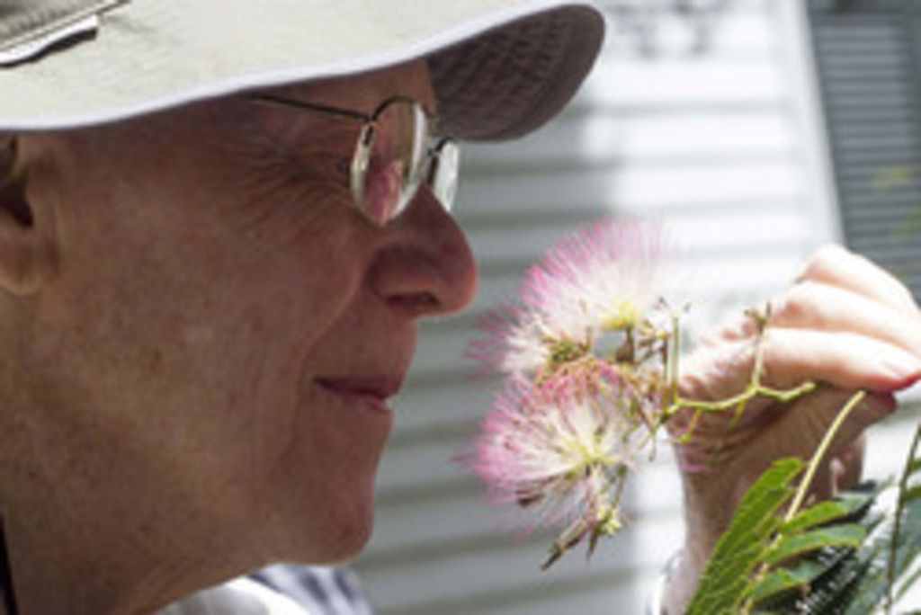 Norman D. Thomsen Profile Photo