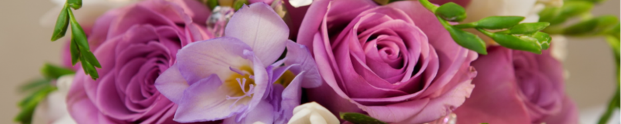 Cover photo for Joanne Howell's Obituary