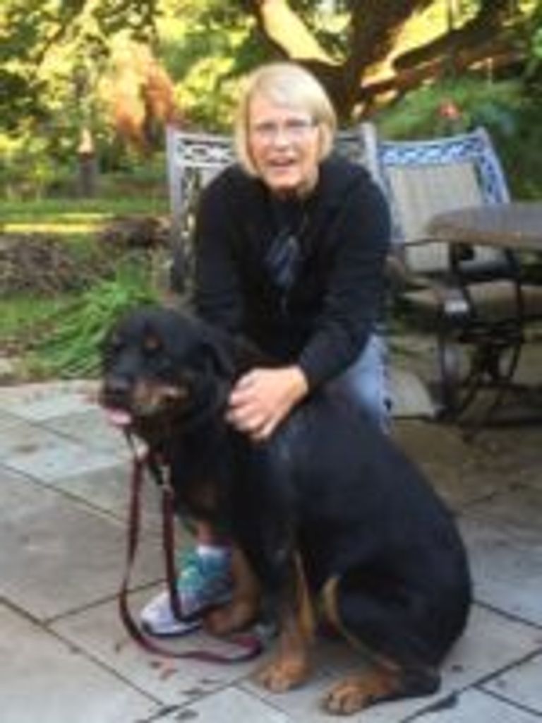 Amy Lynn Huber