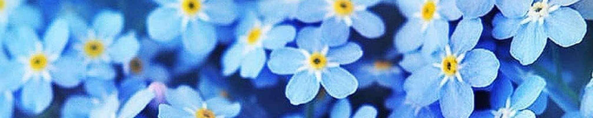 Cover for Betty Jo (Bench) Cox's Obituary