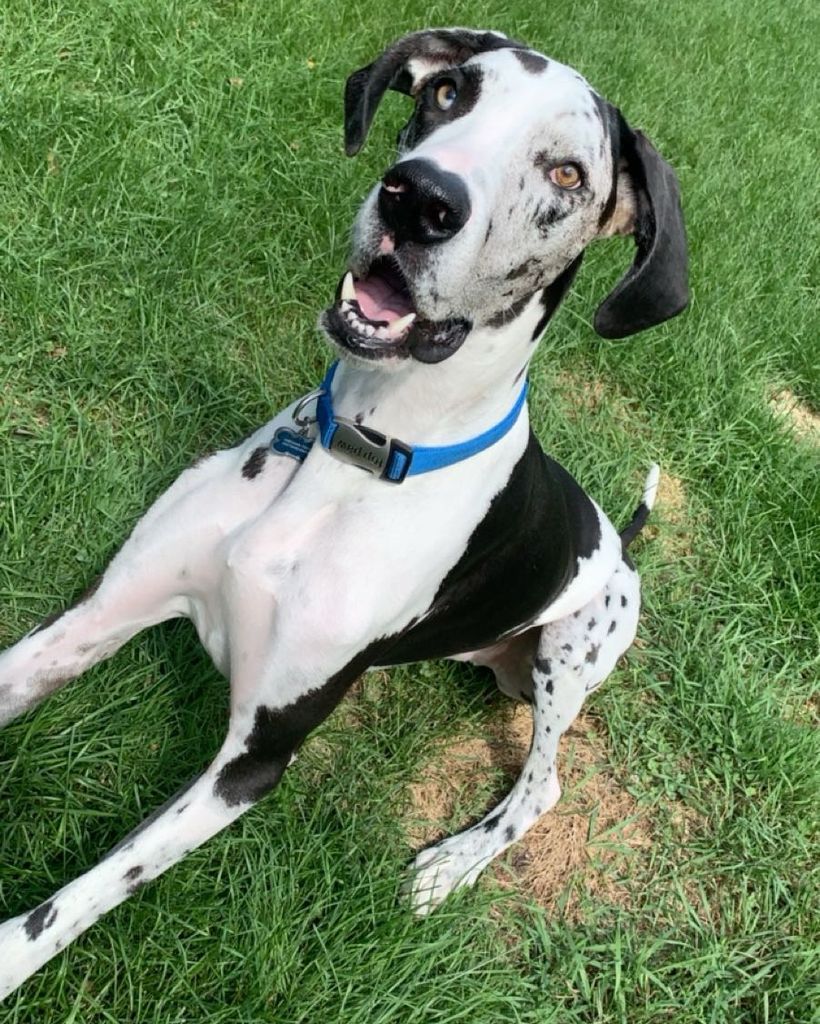 Walter Caron/Pommeranz