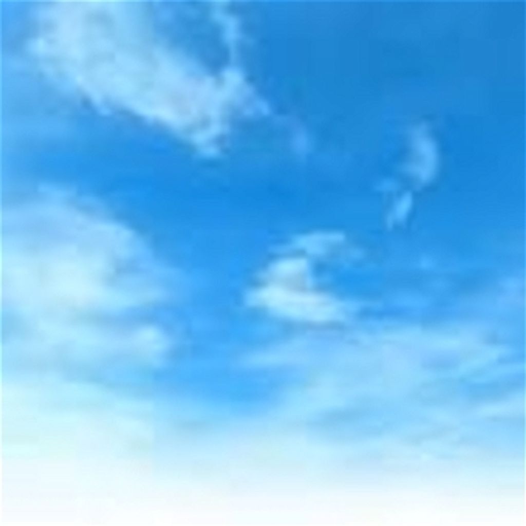 Arlene Offill Profile Photo