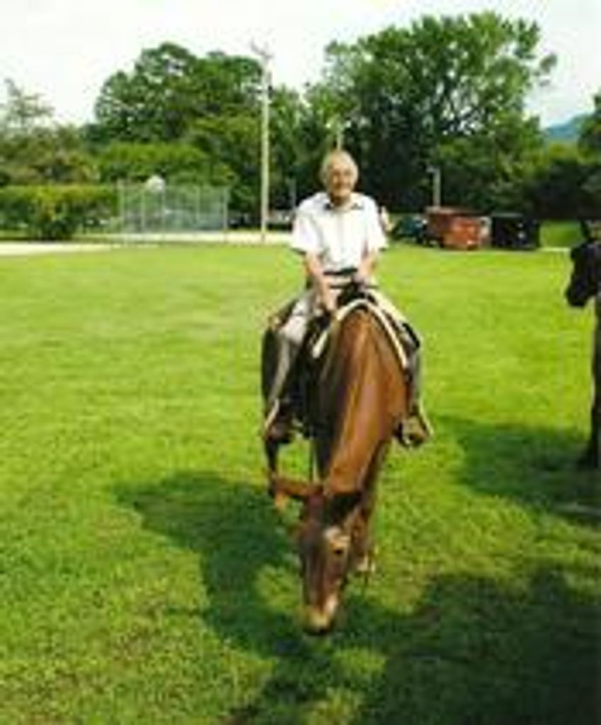 Wallace Eugene Harrison