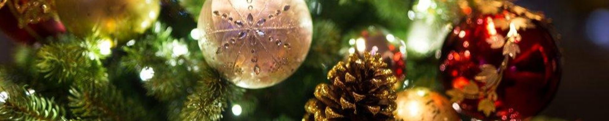 Cover for Candlelight Memorial Service 2025's Obituary