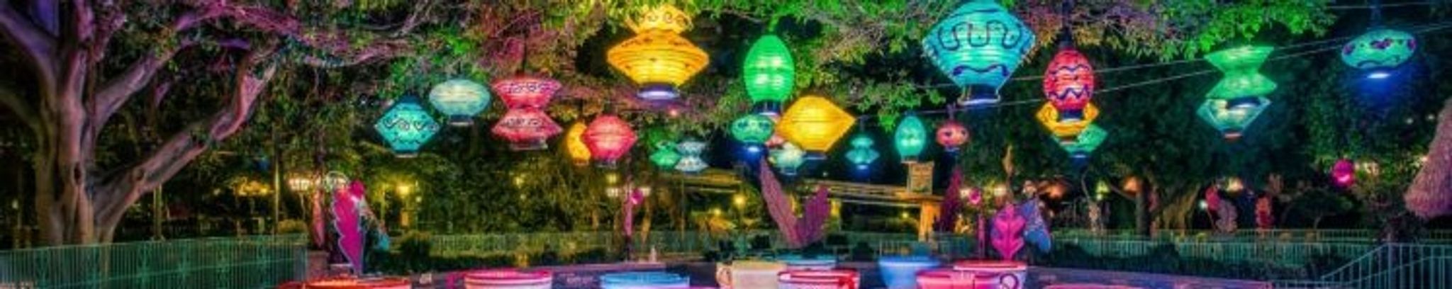 Cover for Abigail Marie Lane's Obituary