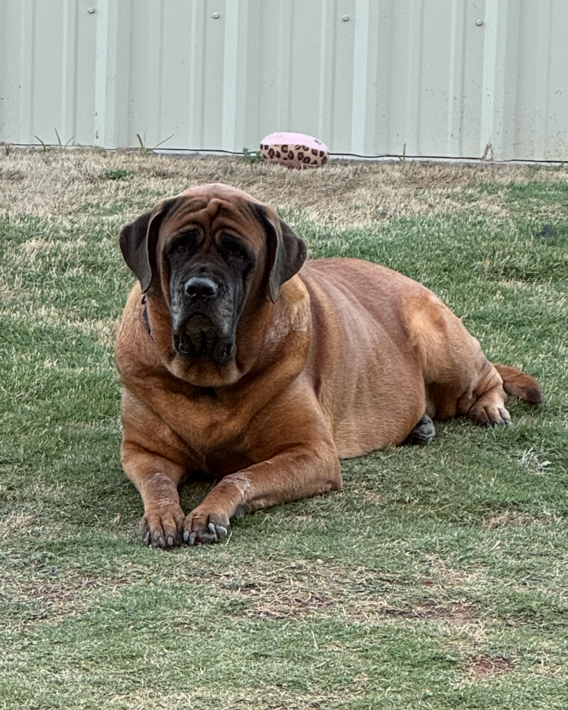 Ginger McCain Profile Photo