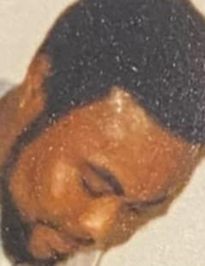 Sidney Brown Jr. Profile Photo