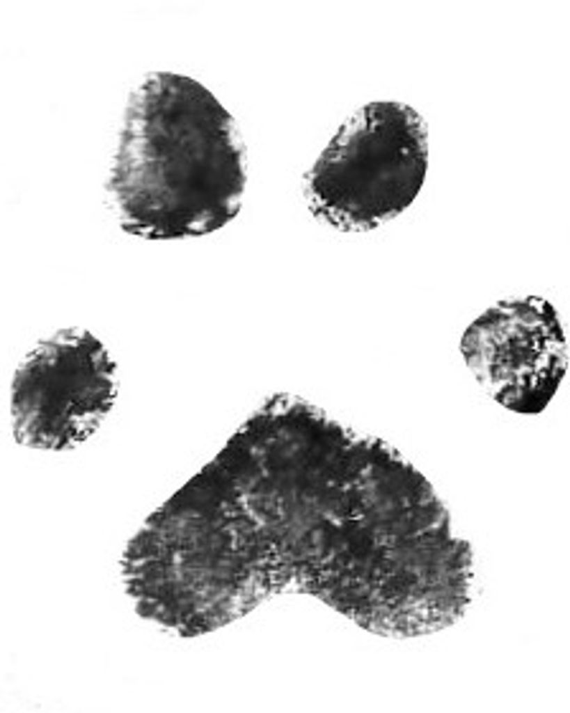 Charlotte Poovey Profile Photo