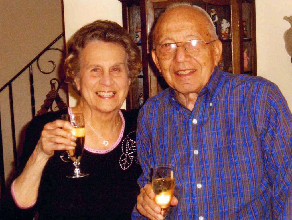 Mr.  Donald  A. DeAbreo