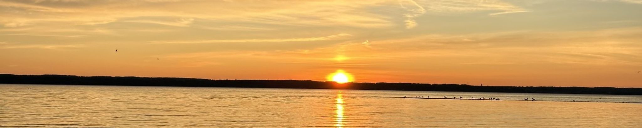 Cover for Robert McKay's Obituary