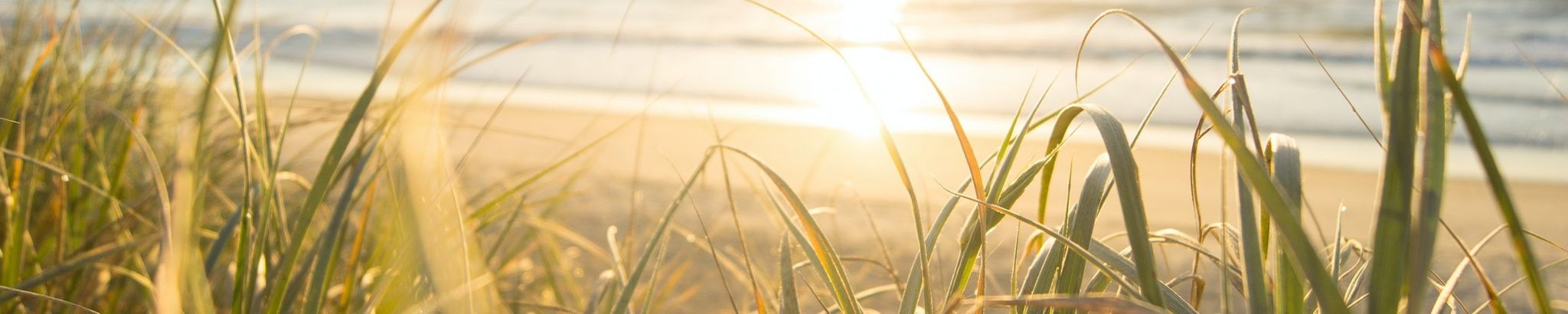 Cover for Lee Ann Schlosser's Obituary