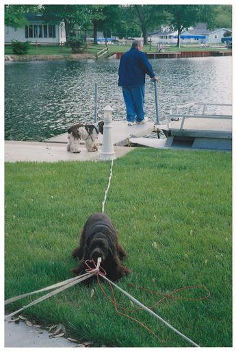 Gary L. Hall photo gallery thumbnail 158 of 354