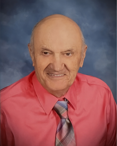 Louis Schneider's obituary image