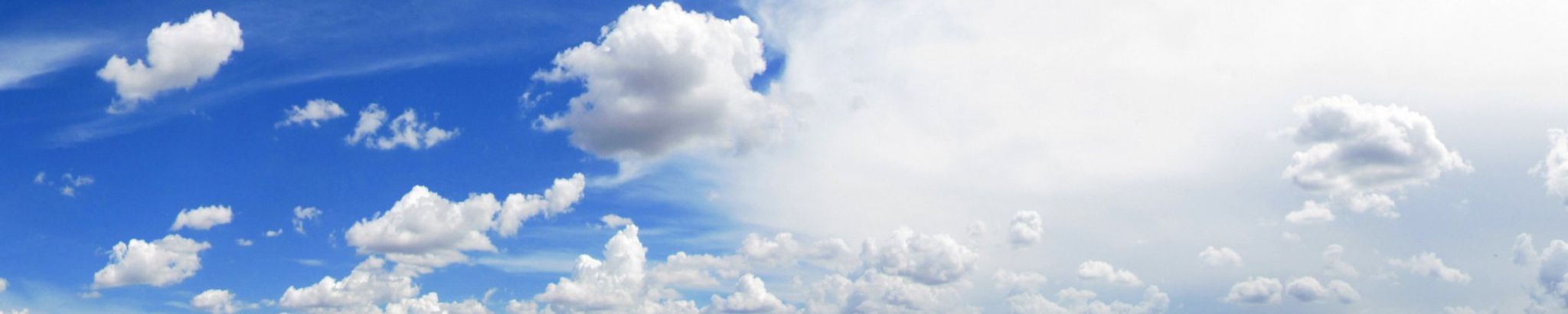 Cover for Taramati G. Patel's Obituary