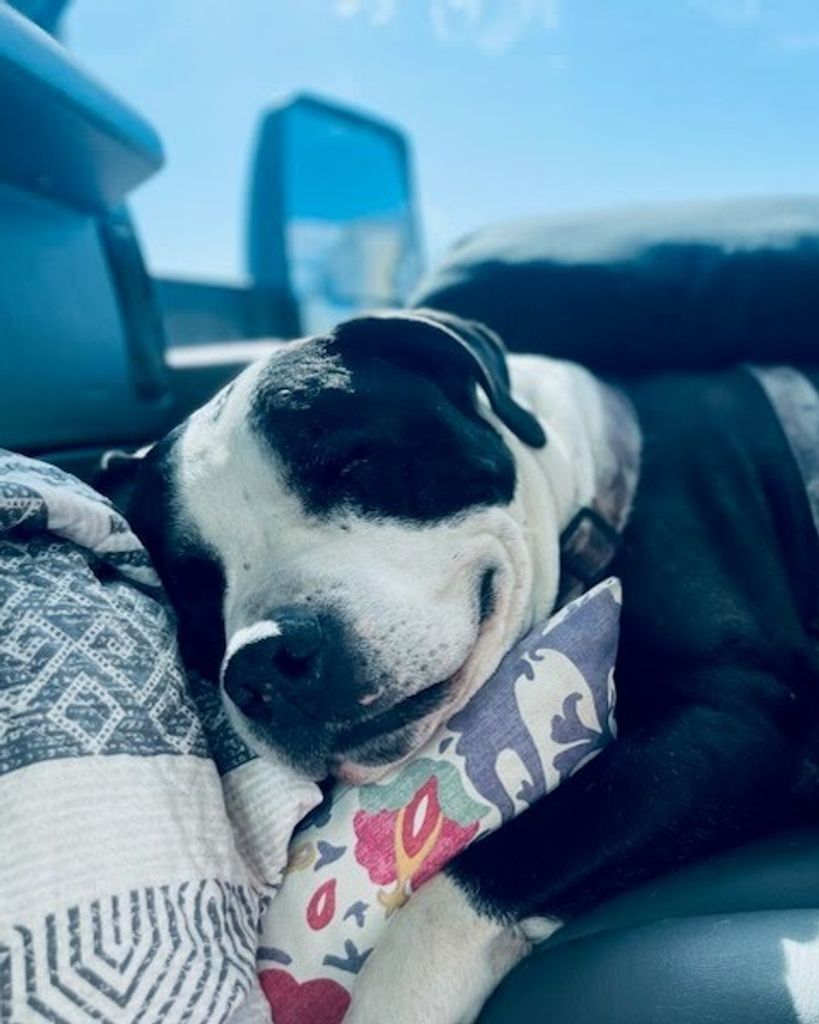 Bauwzer Lightfoot Profile Photo