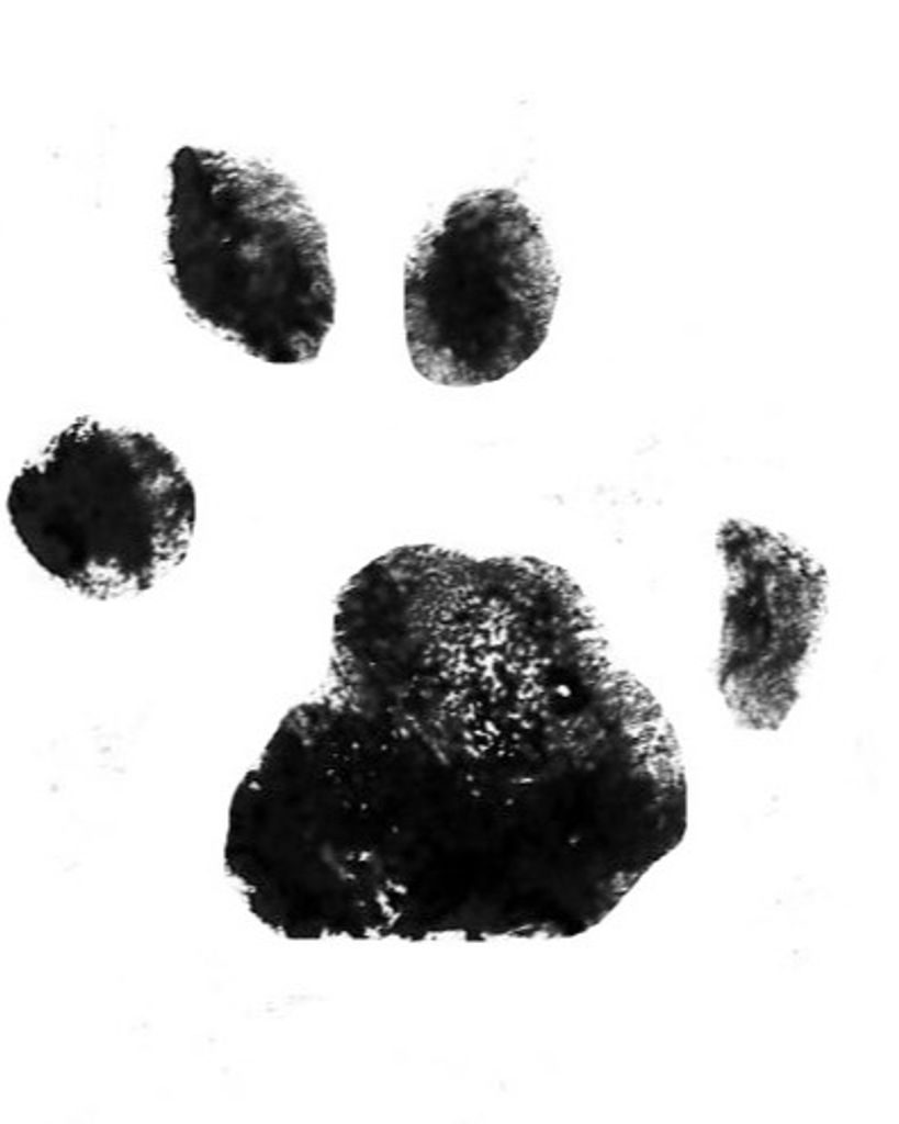 Oscar Brown Profile Photo