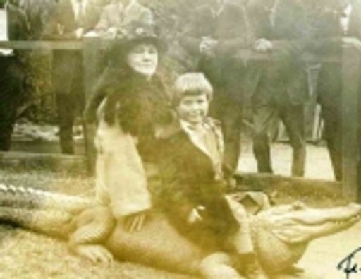 Agnes L. Ward photo gallery thumbnail 8 of 105