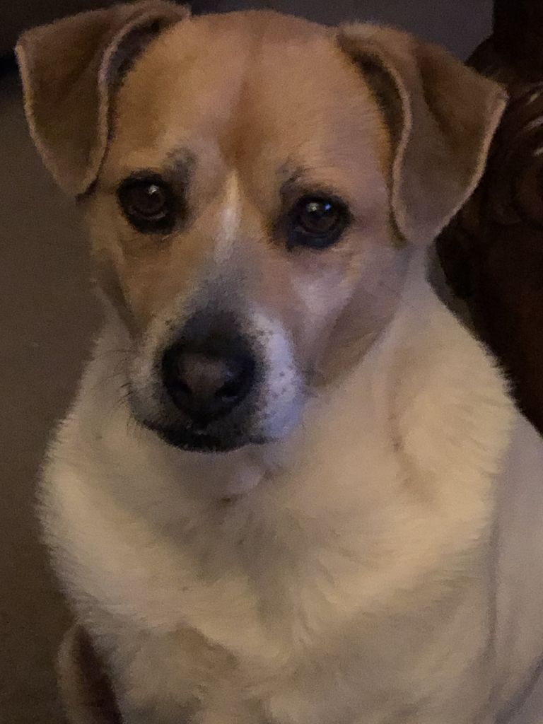 Tony Profile Photo