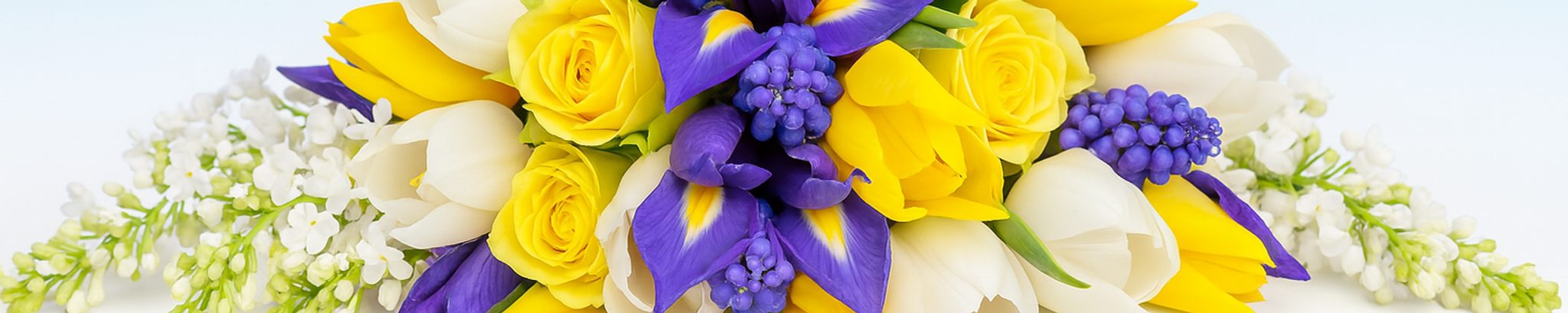 Cover photo for Rosan Maria Whitsel's Obituary