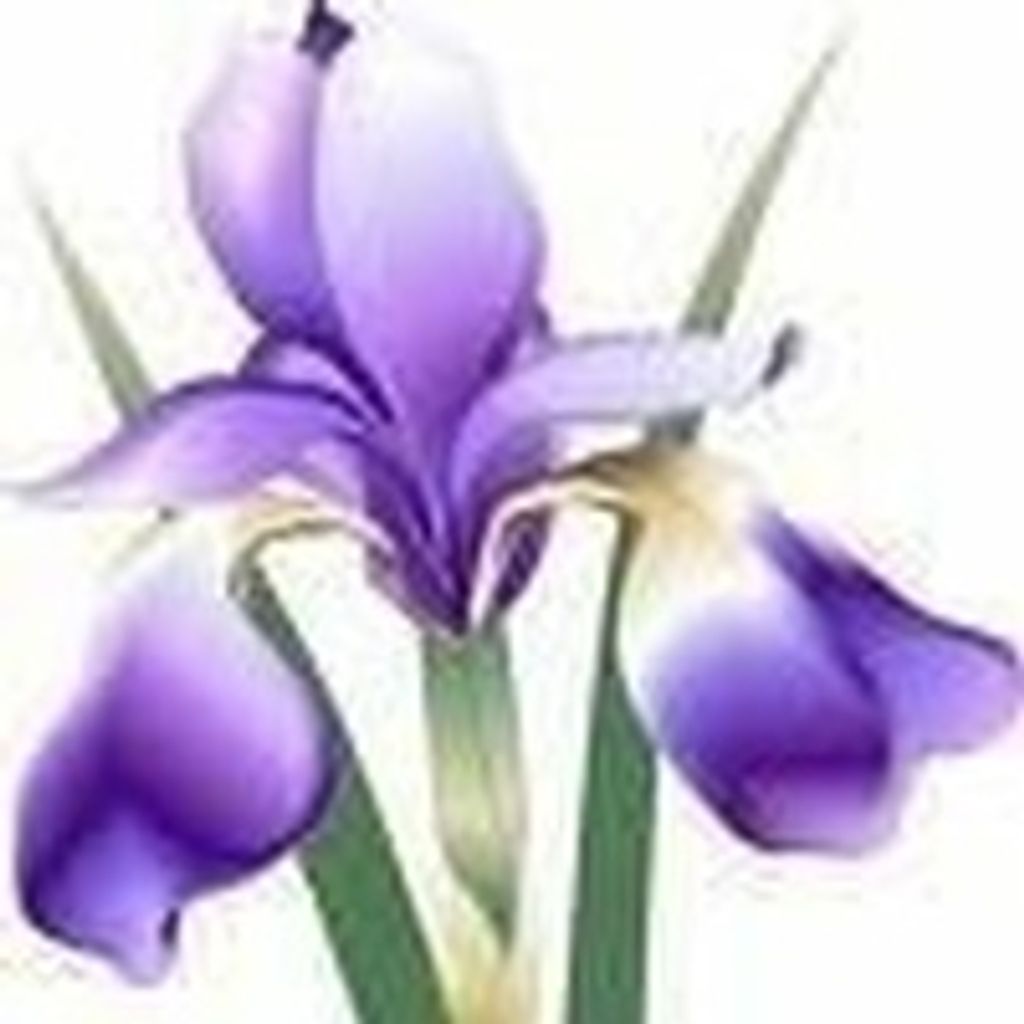 Cornelia Smartt Hendley Hodges Profile Photo