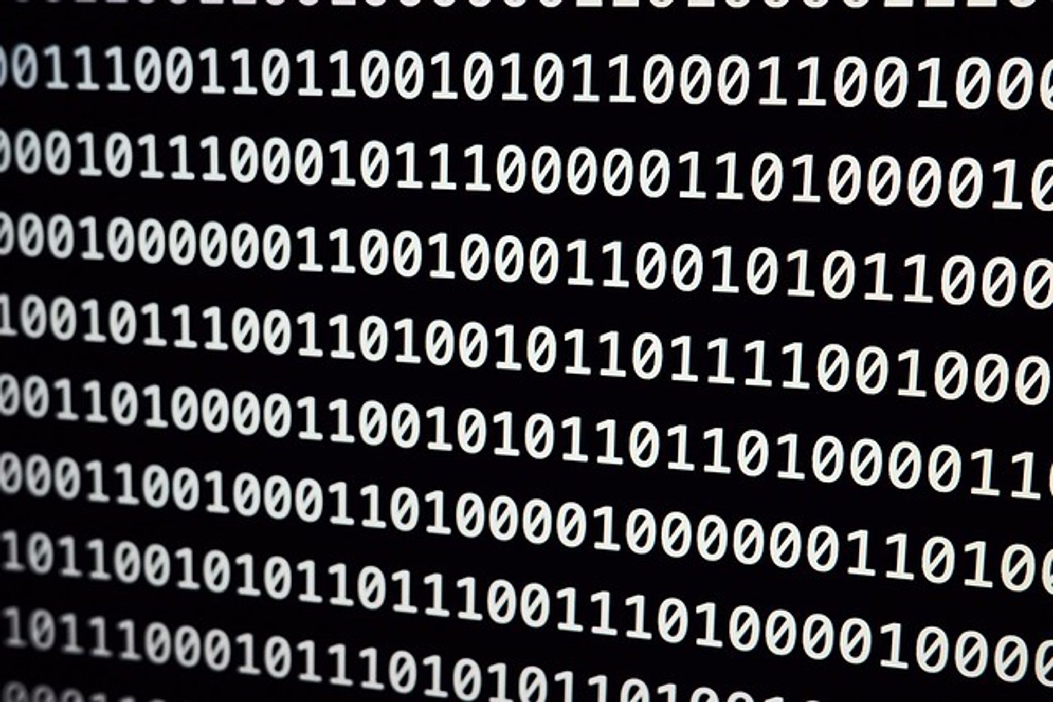 Cover for Michele J. Howe's Obituary