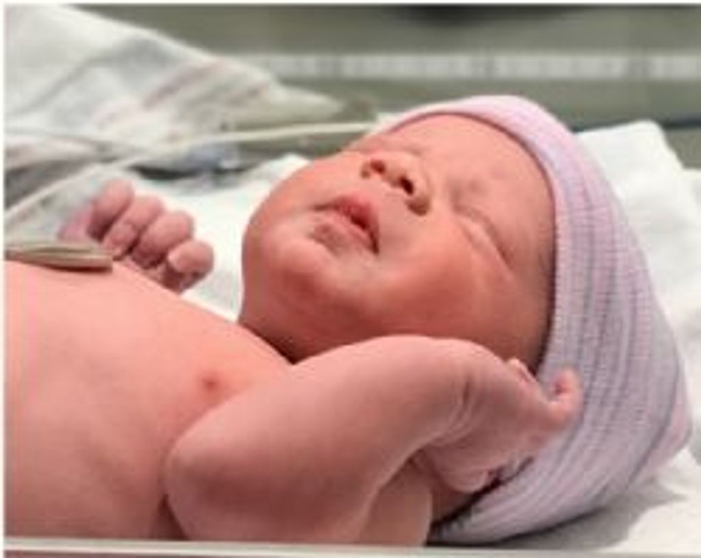 Maverick Elkins