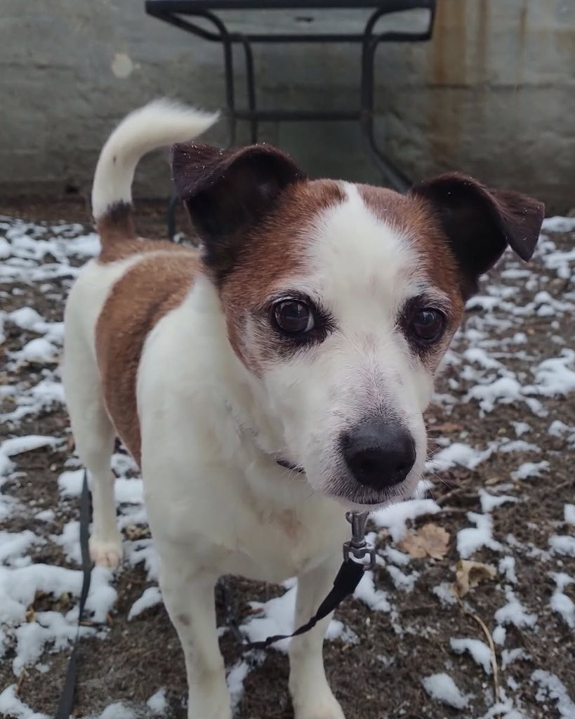 Milo Sotomayor Profile Photo