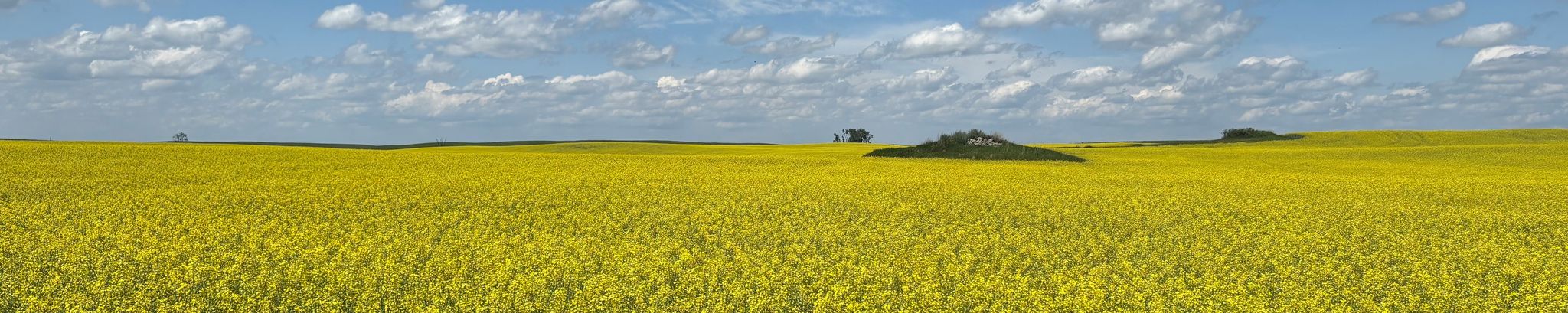 Cover for Corbin Bertch's Obituary