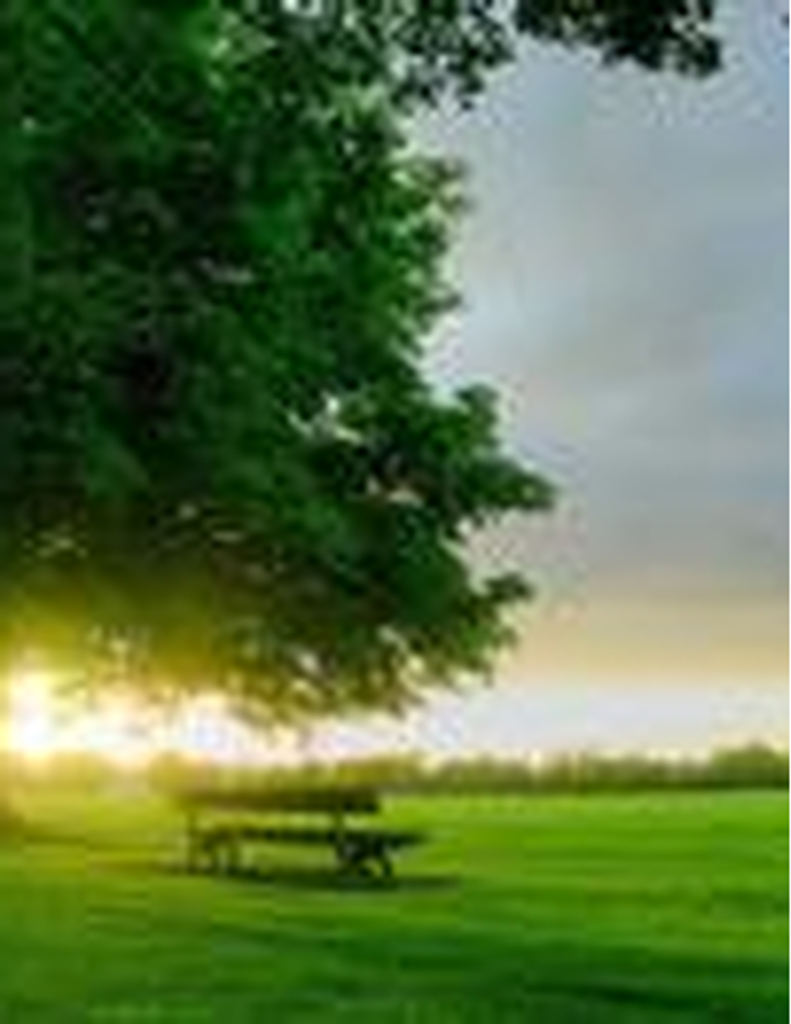 Stephen Keith Gibson