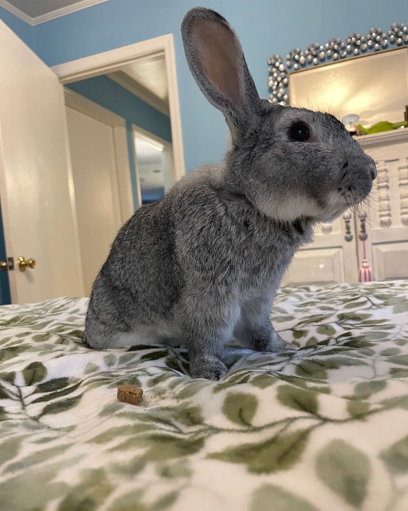 Odin Cooper Profile Photo