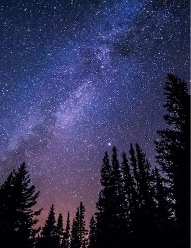 Elizabeth June Nichols