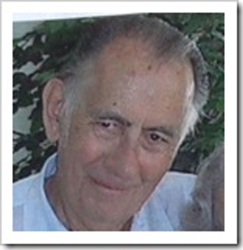 Aldin Malzer