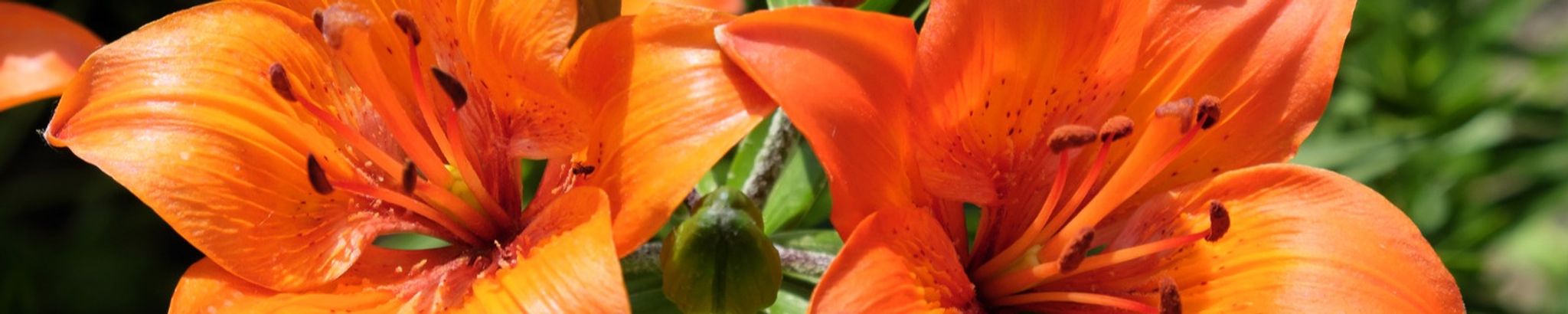 Cover photo for Dorita Elaine Billingsley's Obituary