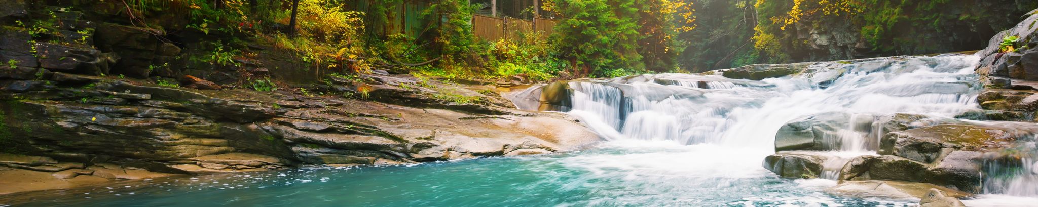 Cover for David C. Byrnes's Obituary