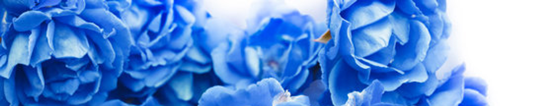 Cover for Alforetta Miller Hughes's Obituary