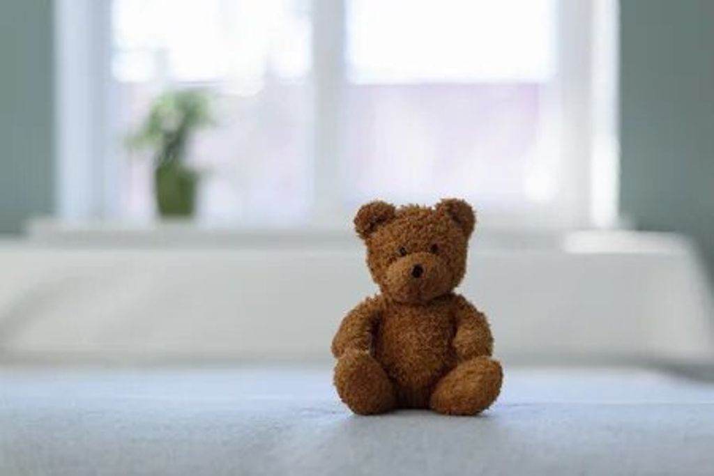 Journey Lev Brothers