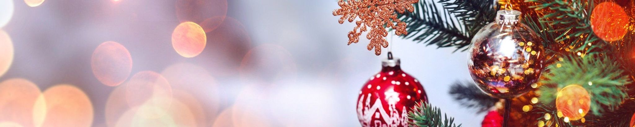 Cover for Sheila Elizabeth Baker's Obituary