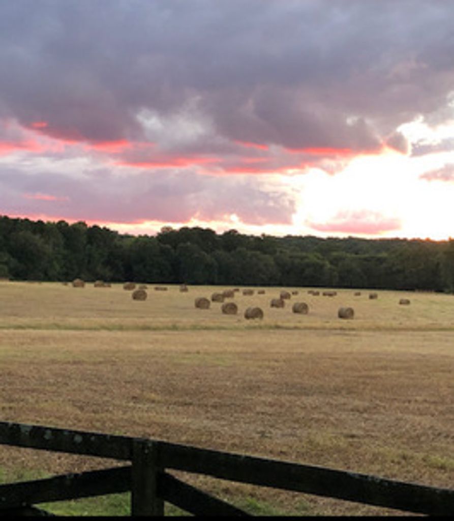 David Moore Profile Photo