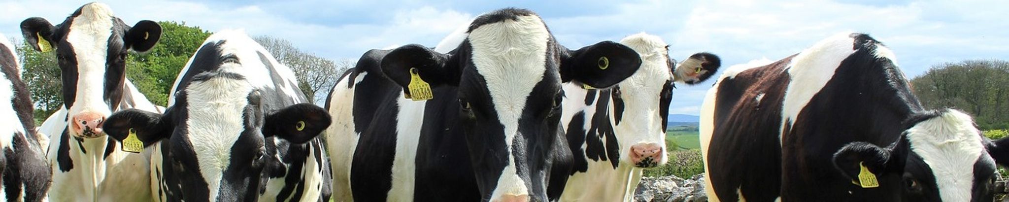 Cover for Donald Wartner's Obituary