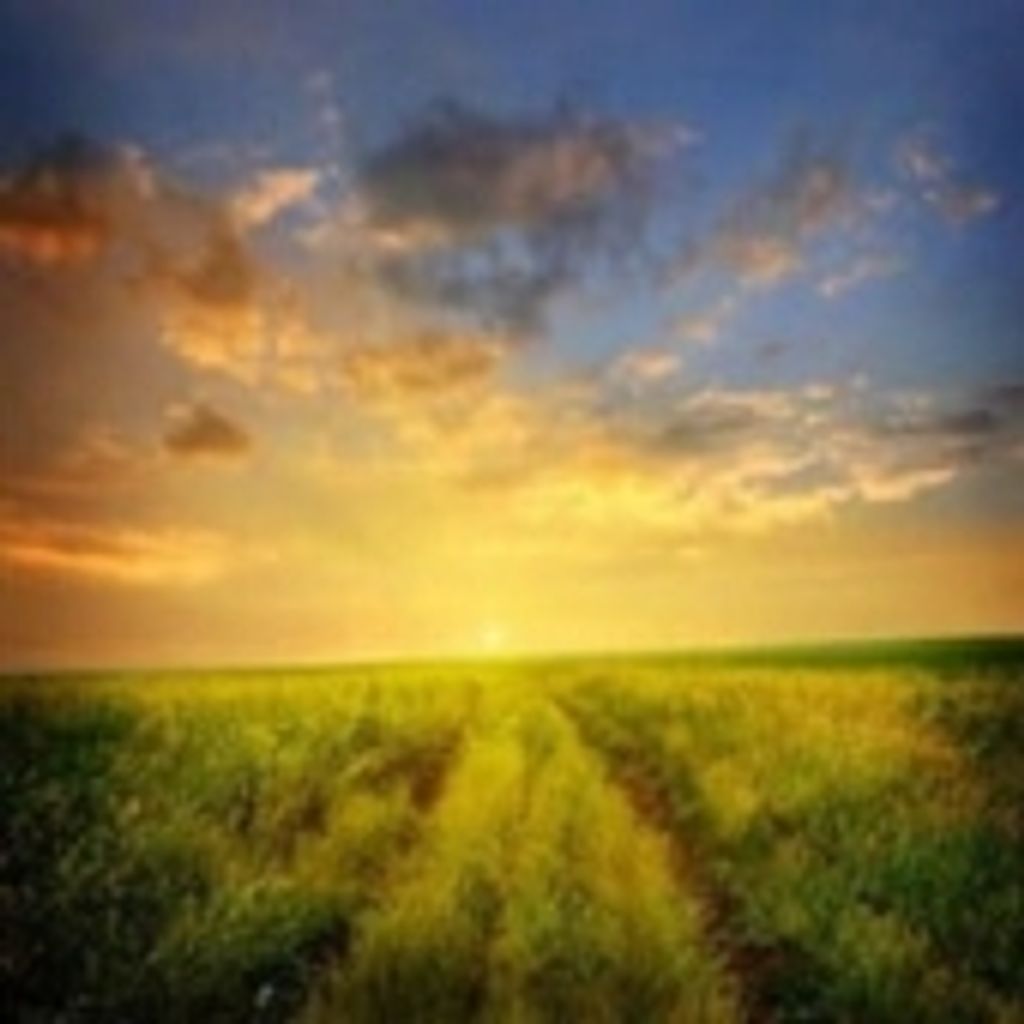 Ronald Stephen Reigner