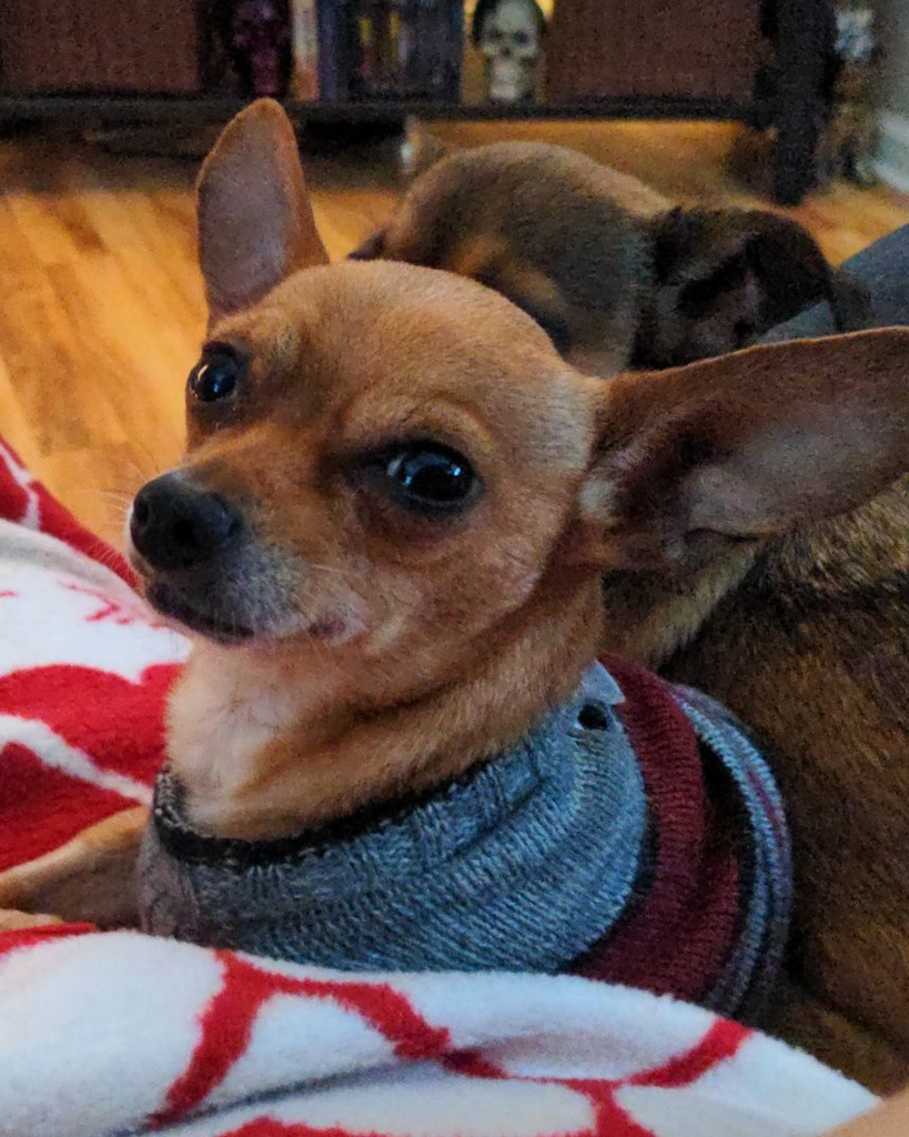Chloe