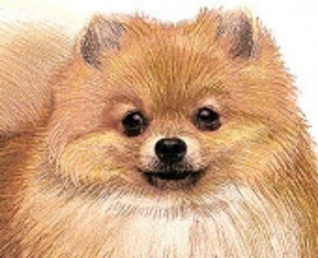 Princess Robertson Profile Photo