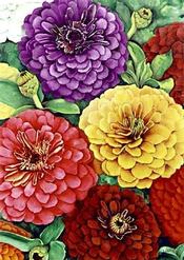 Susan J. Adams Graves