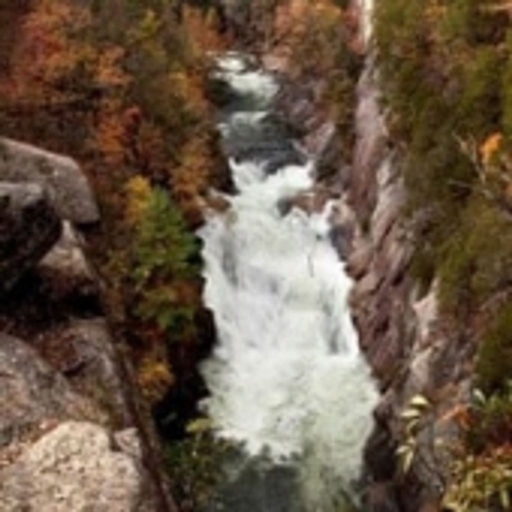 Frederick William Cook