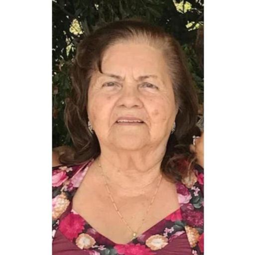 Artemiza Lugo Higuera Profile Photo