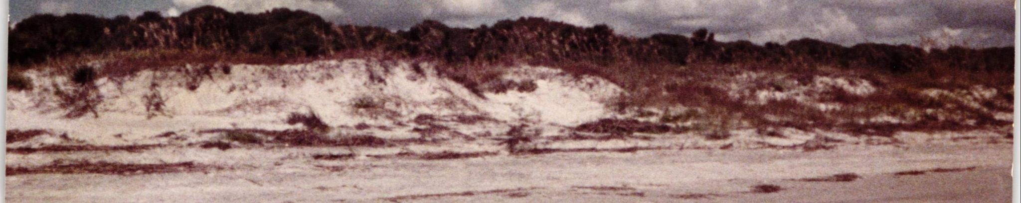 Cover photo for Judith Ann McClelland's Obituary